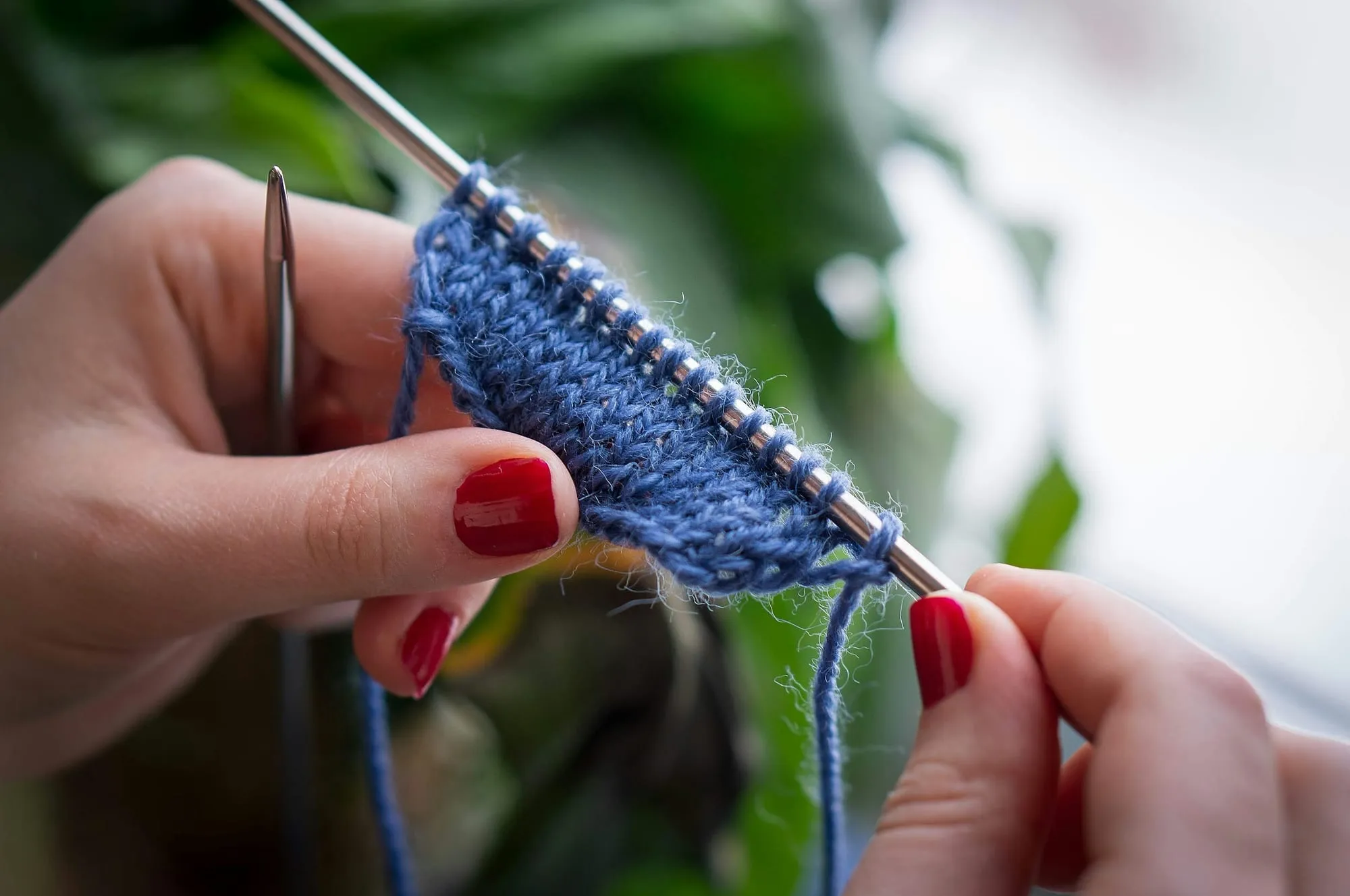 Hände stricken mit blauer Wolle, im Hintergrund eine Pflanze